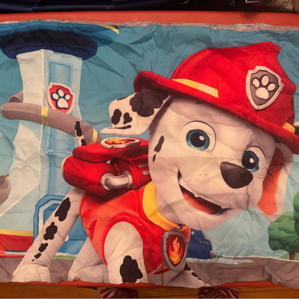 PAW PATROL Pillow Case